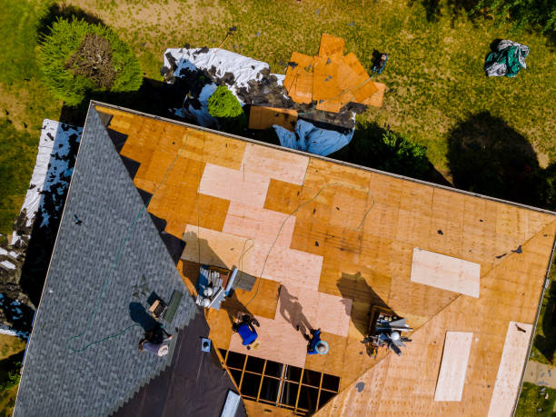 Roof Gutter Cleaning in Nappanee, IN