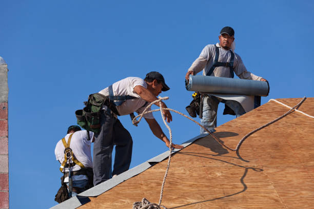 Best Local Roofing Companies  in Nappanee, IN