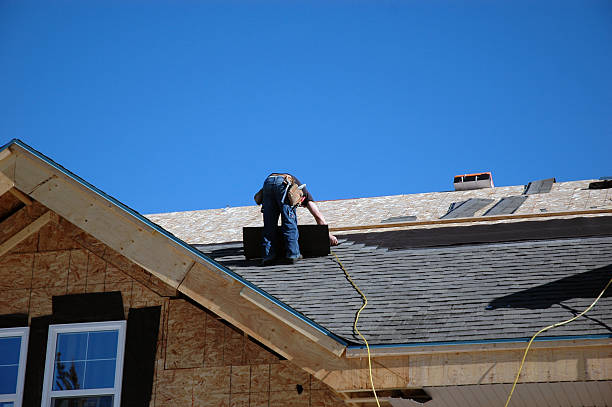Best Roof Gutter Cleaning  in Nappanee, IN