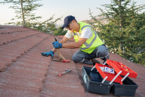 Best Best Roofing Contractors  in Nappanee, IN