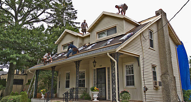 Best Best Roofing Contractors  in Nappanee, IN